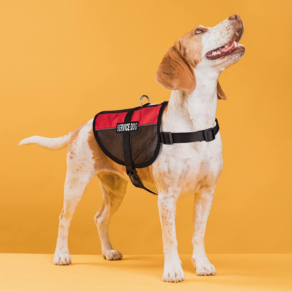 Dogline Service Dog Vest, 22 By 29-Inch, Red