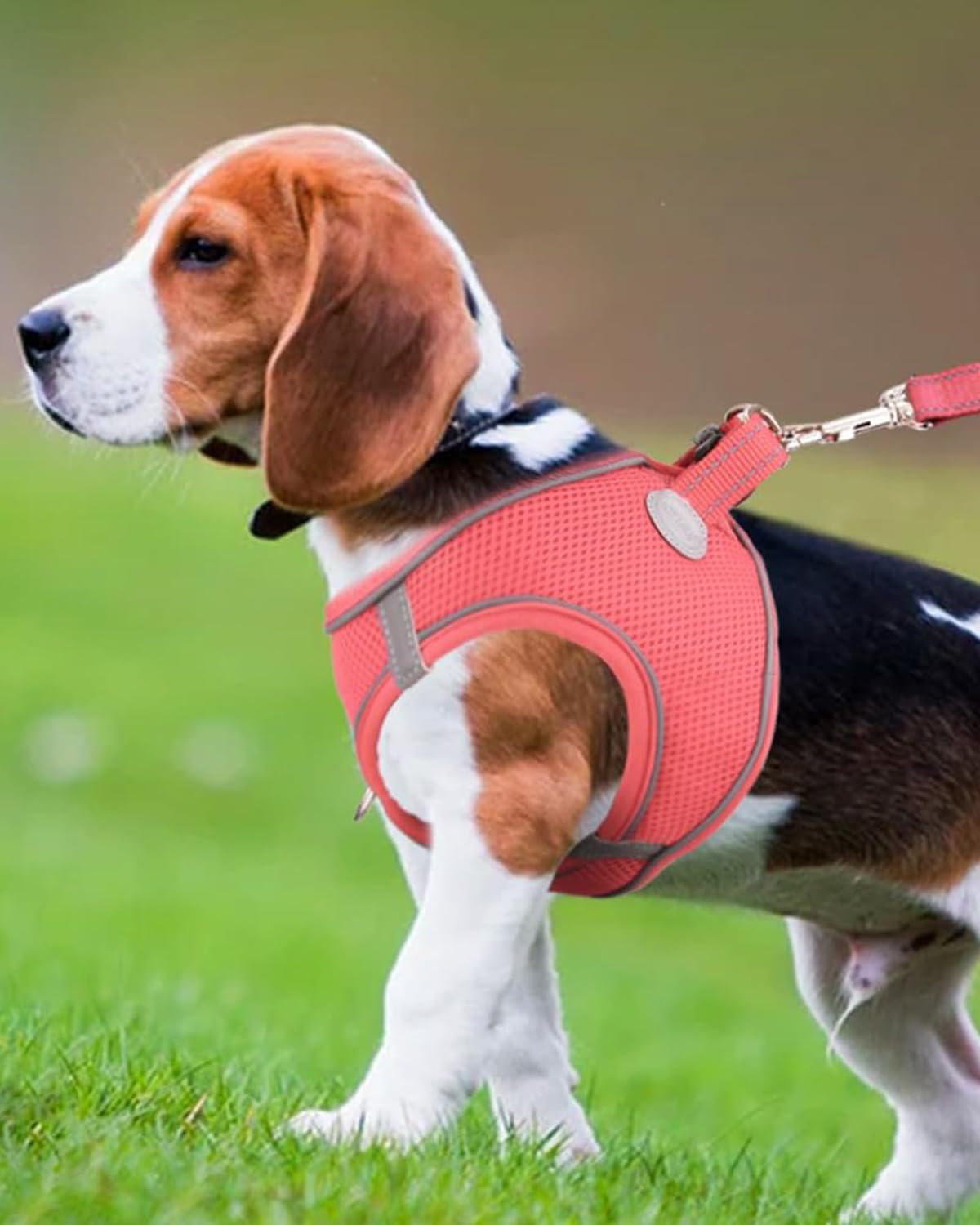 Joytale Step In Dog Harness,12 Colors,Breathable Mesh Vest Harness,Reflective Soft Padded Harnesses For Medium Dogs,Pink,Xl