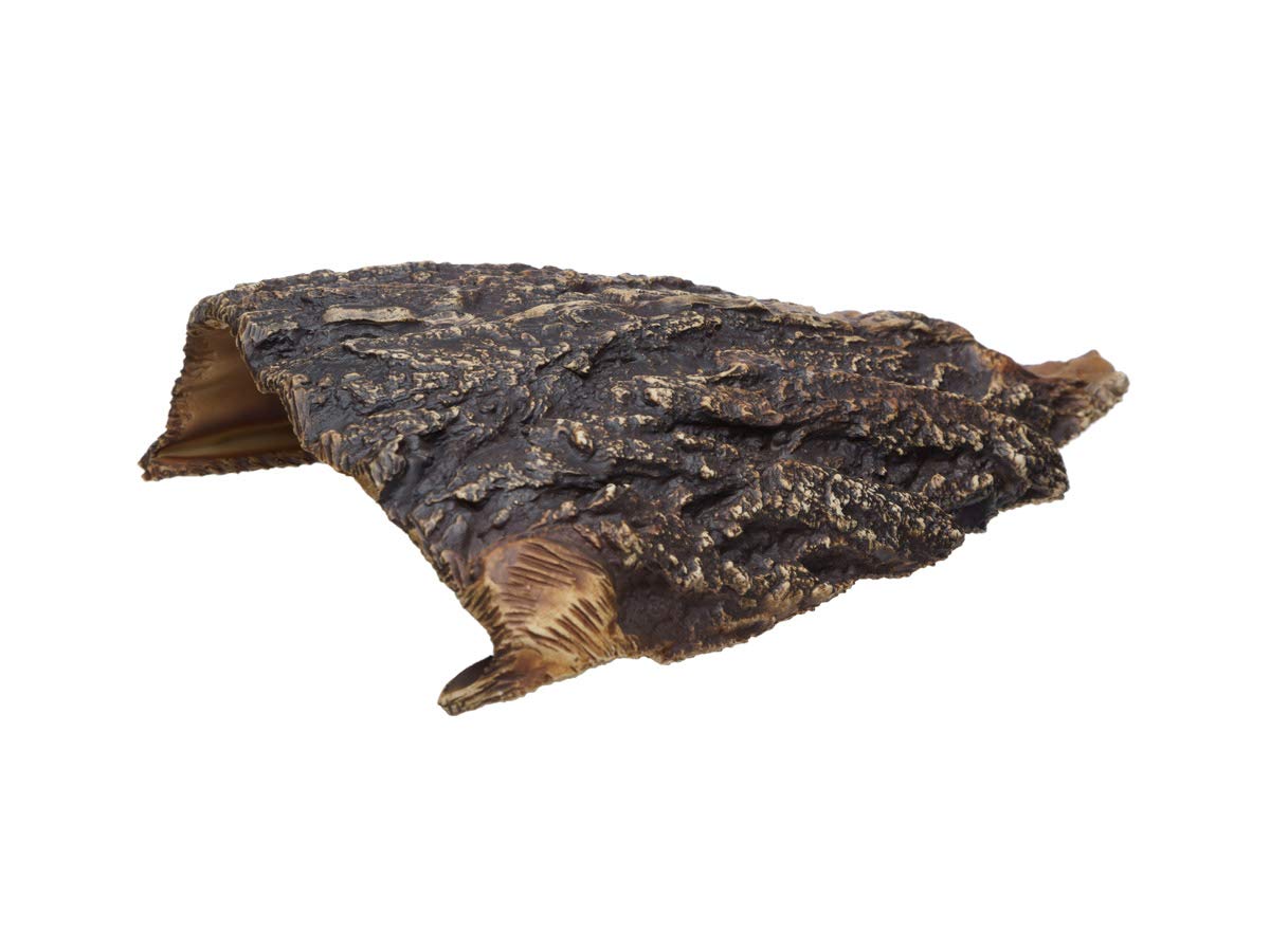 Plecoceramics Aquarium Cave - Ceramic Betta Fish Tank Decor - Natural Aquarium Decor - Large Reptile Hide - Fish Cave Hideout - 