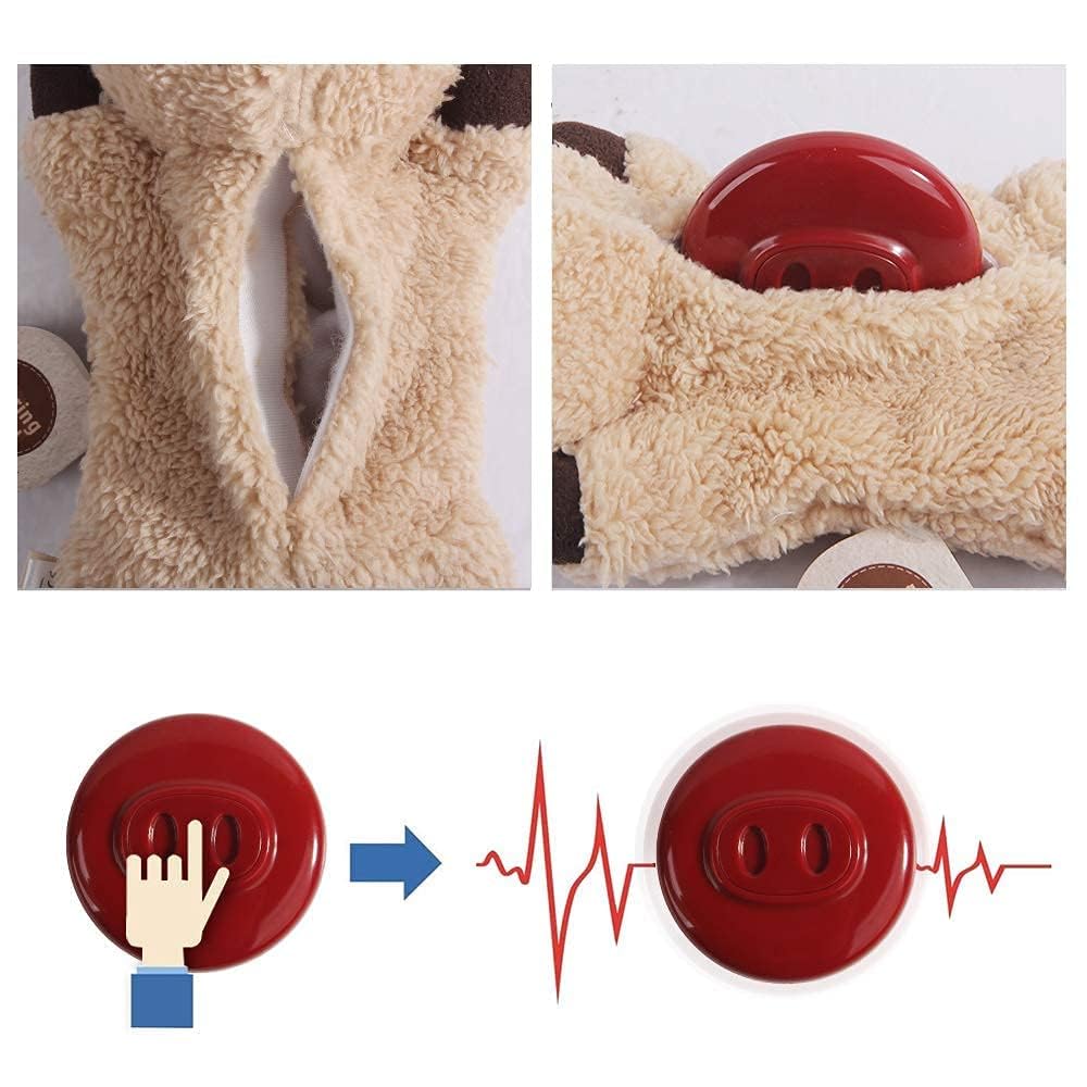 All For Paws Cat Toys For Indoor Cats, Purring Cat, Catnip Toys, Cat Plush Toy, Cat Pillow, Anxiety Toys, Kitten Toys, Pet Toy