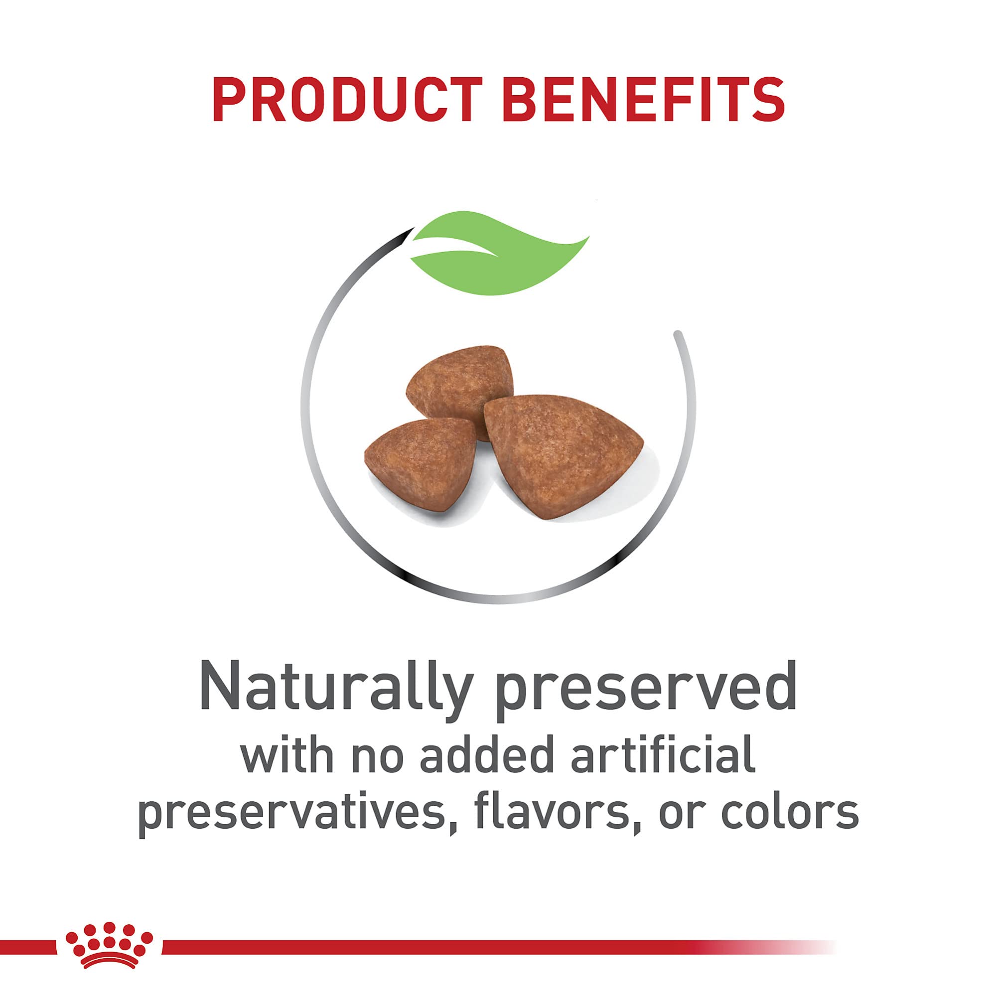 Royal Canin Size Health Nutrition X-Small Breed Dry Puppy Food, Supports Brain Development, Immune Support and Digestive Health,