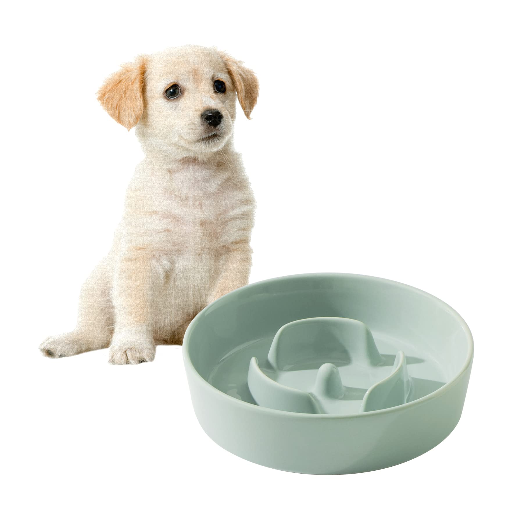 Havniva 6.1Inch Ceramic Dog Bowl Slow Feeder For Small Dog, Pet Slow Feeder, Stop Bloat, Preventing Choking(Single Bowl-Light Gr