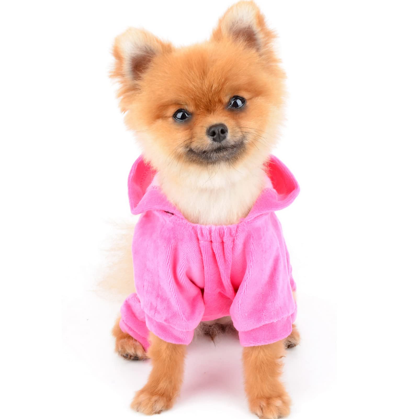Seimai Dog Hoodies Jumpsuit For Small Dog Cat Puppy Rhinestone Crown Soft Velvet Autumn Winter Hooded Pajamas Tracksuit Outfits