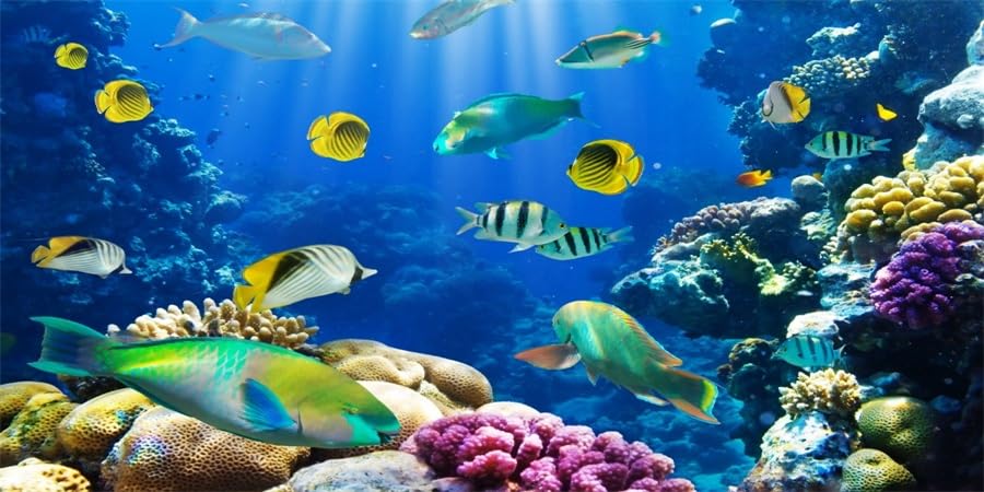 YongFoto Ocean Theme Fish Tank Background 48x20 inch Coral Seaweed Reef Rock Seafloor Tropical Fish Underwater Sea World Polyest