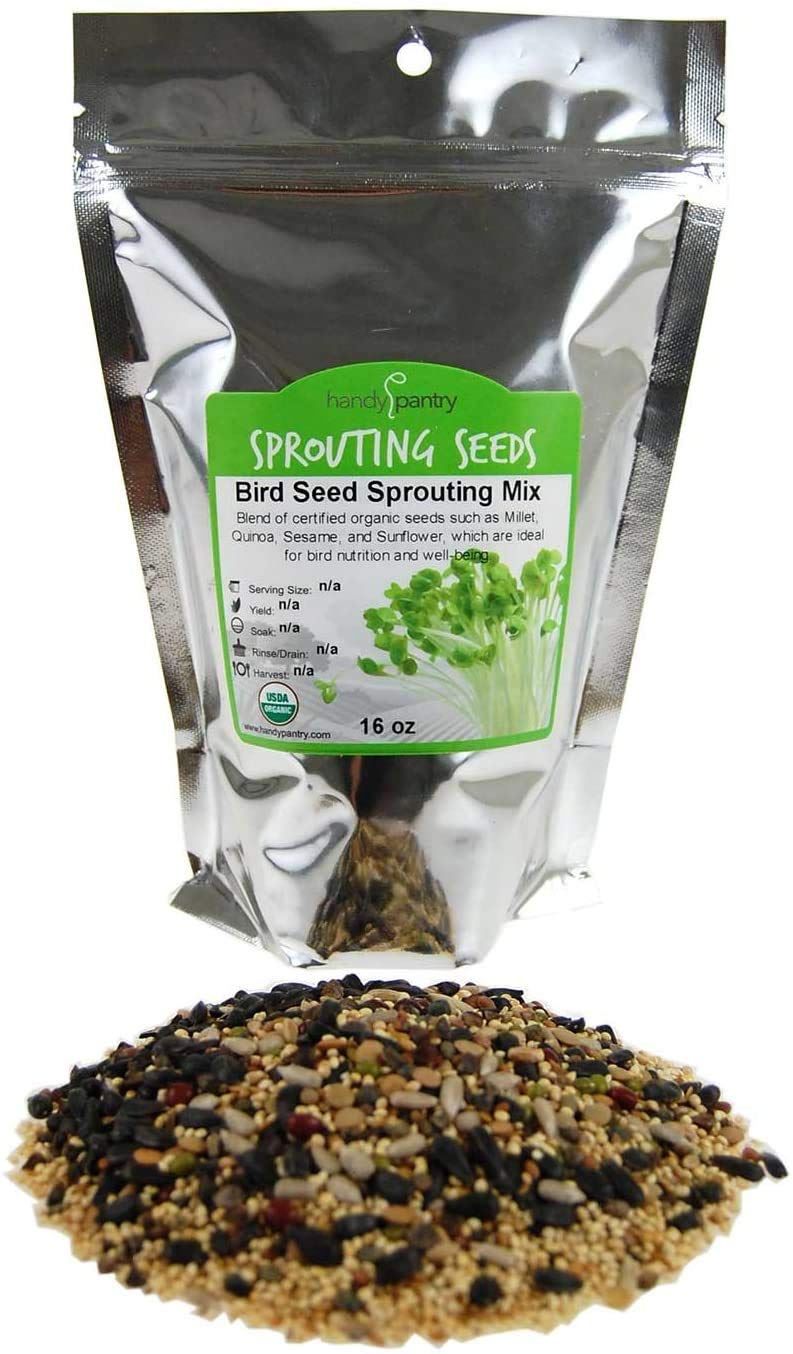 Handy Pantry Organic Birdseed - 1 Lb - Sprouting Bird Seed Mix for Small, Medium & Large Birds- Feed for Songbirds, Parakeets, P