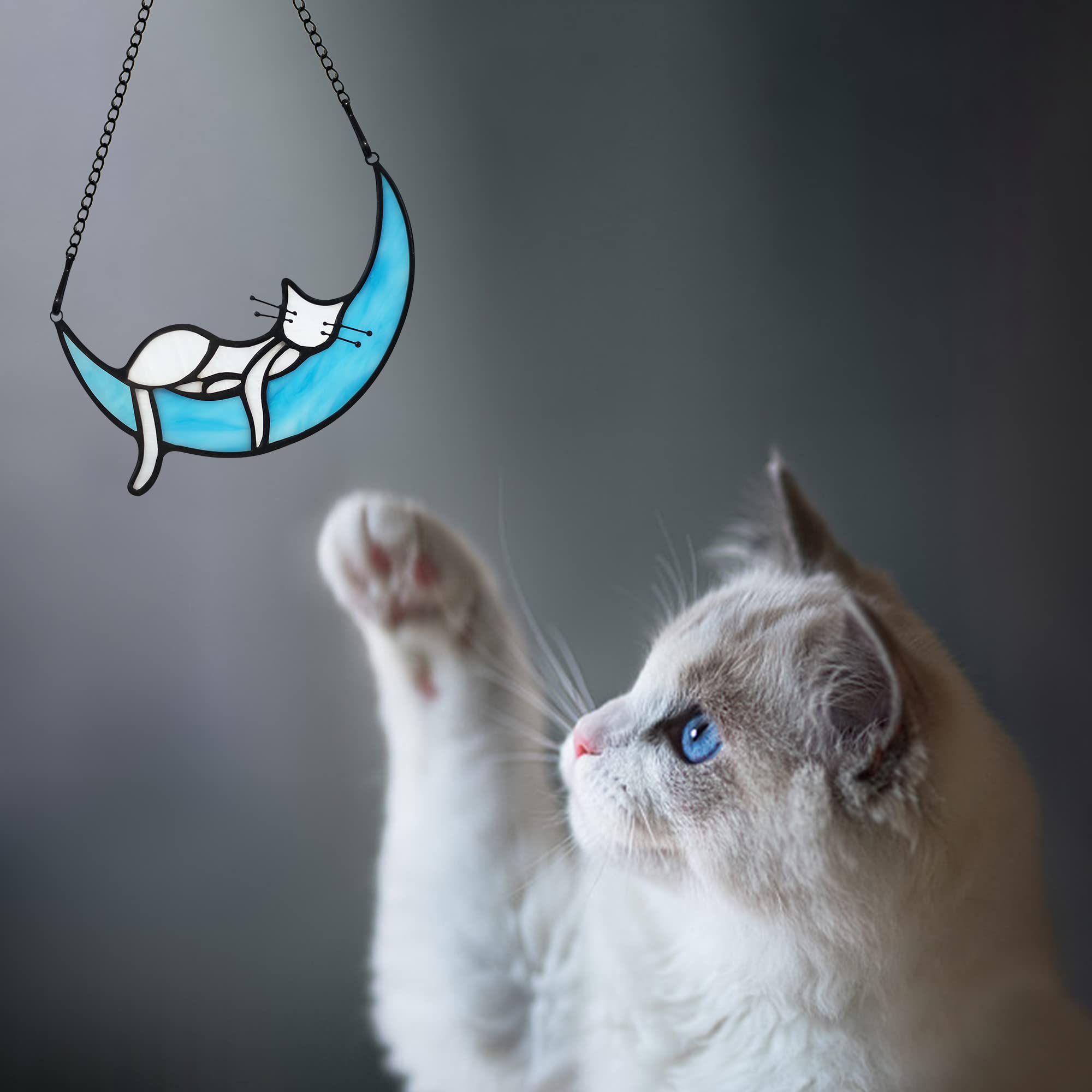 Haosum Sleeping White Cat On Moon Stained Glass Window Hangings,Cat Decor Cat Memorial Gifts For Cat Lovers,White Cat Suncatcher For Kitchen Bedroom Birthday Gift For Mom Grandma Aunt