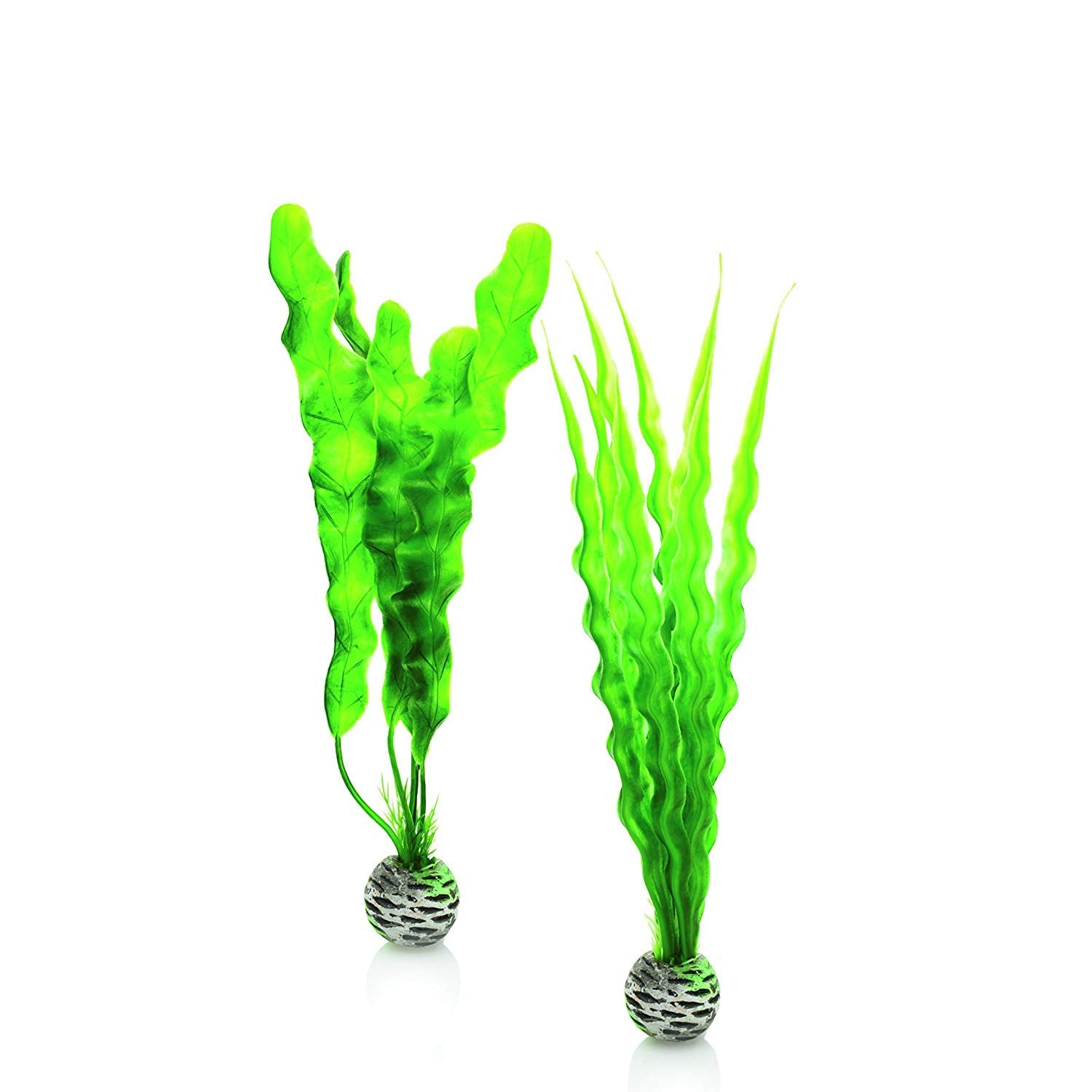 Biorb Easy Plant Pack, Medium