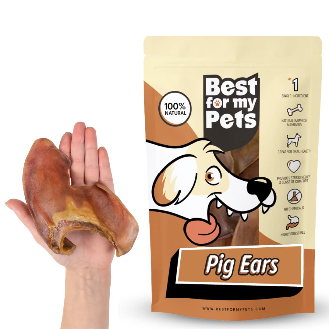 Best For My Pets Pig Ears For Dogs (Whole, 60 Pack), Healthy, Highly Digestible All Natural Pigs Ears Long-Lasting Dog Chews, Pork Dog Chew Treat