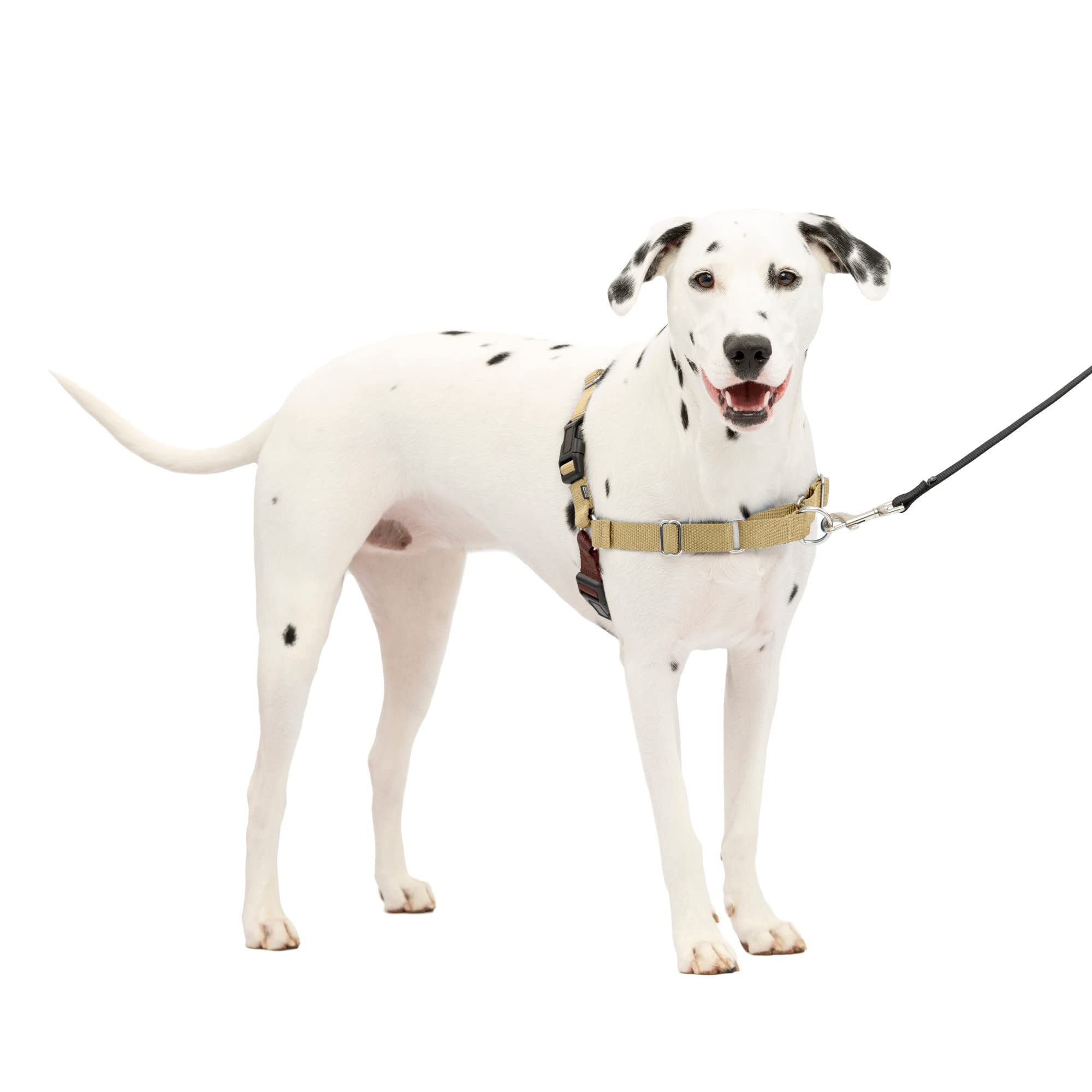 Petsafe Easy Walk No-Pull Dog Harness - The Ultimate Harness To Help Stop Pulling - Take Control & Teach Better Leash Manners - Helps Prevent Pets Pulling On Walks - Medium/Large, Fawn/Brown