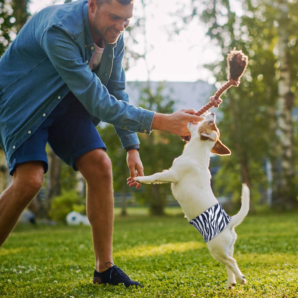 Micooyo Belly Bands For Male Dogs, 3 Pack Reusable Dog Diapers Male For Puppy Doggie, Washable Male Dog Wraps Xsmall (Xl, Grassl