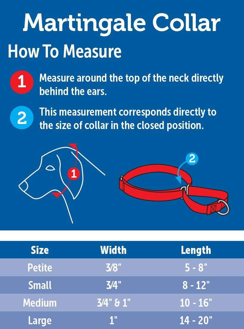 Petsafe Adjustable Martingale Collar - Only Tightens When Dogs Pull, Prevents Slipping Out - Helps With Strong Pullers, Increase