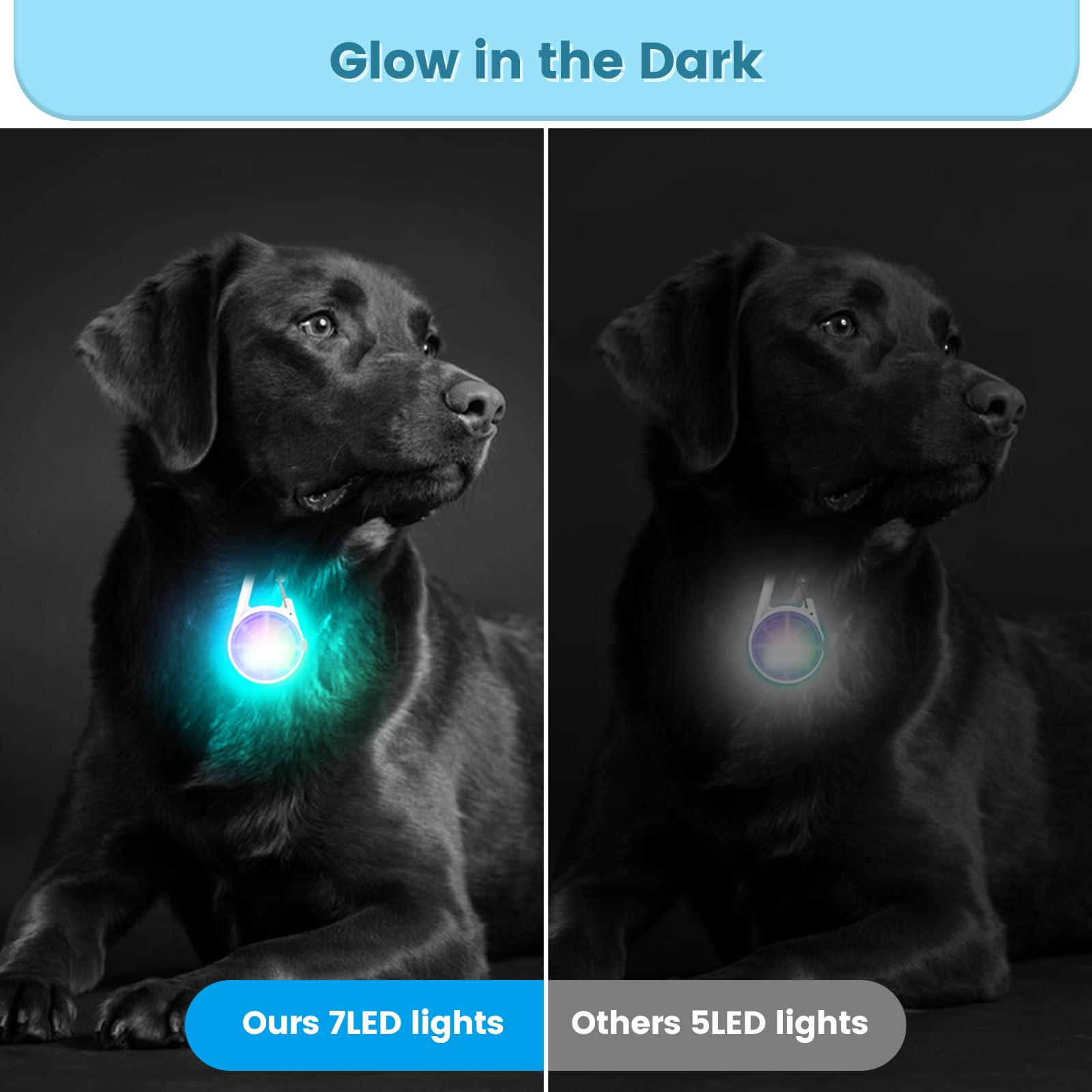 Poeey Dog Collar Light 2Pack Led Rechargeable Clip On With Rgb Color Pet Harness Dog Lights For Night Walking Camping