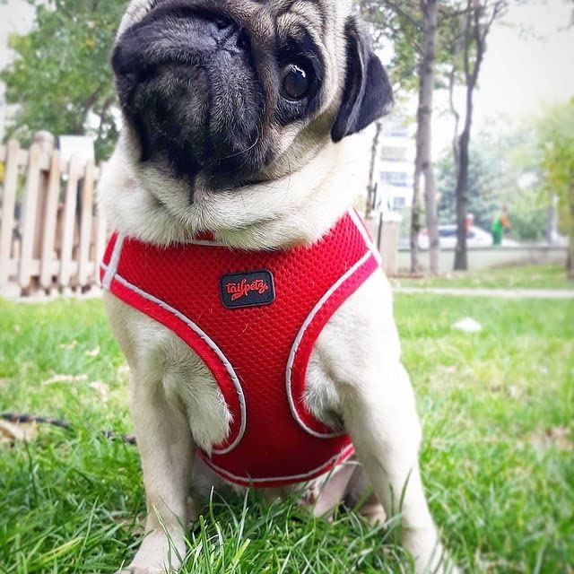 Tailpetz Red Adjustable Step-in Dog Harness, No Pull Vest for Large Dogs, Reflective, L (Chest: 23.5"-25")