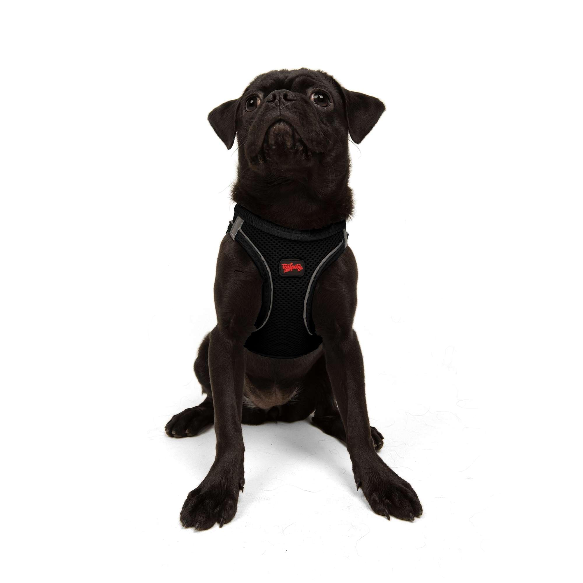 Tailpetz Black Dog Harness Medium Sized Dog, Adjustable No Pull Step in Harness Medium Size Dog, Reflective Puppy Harness for Pu