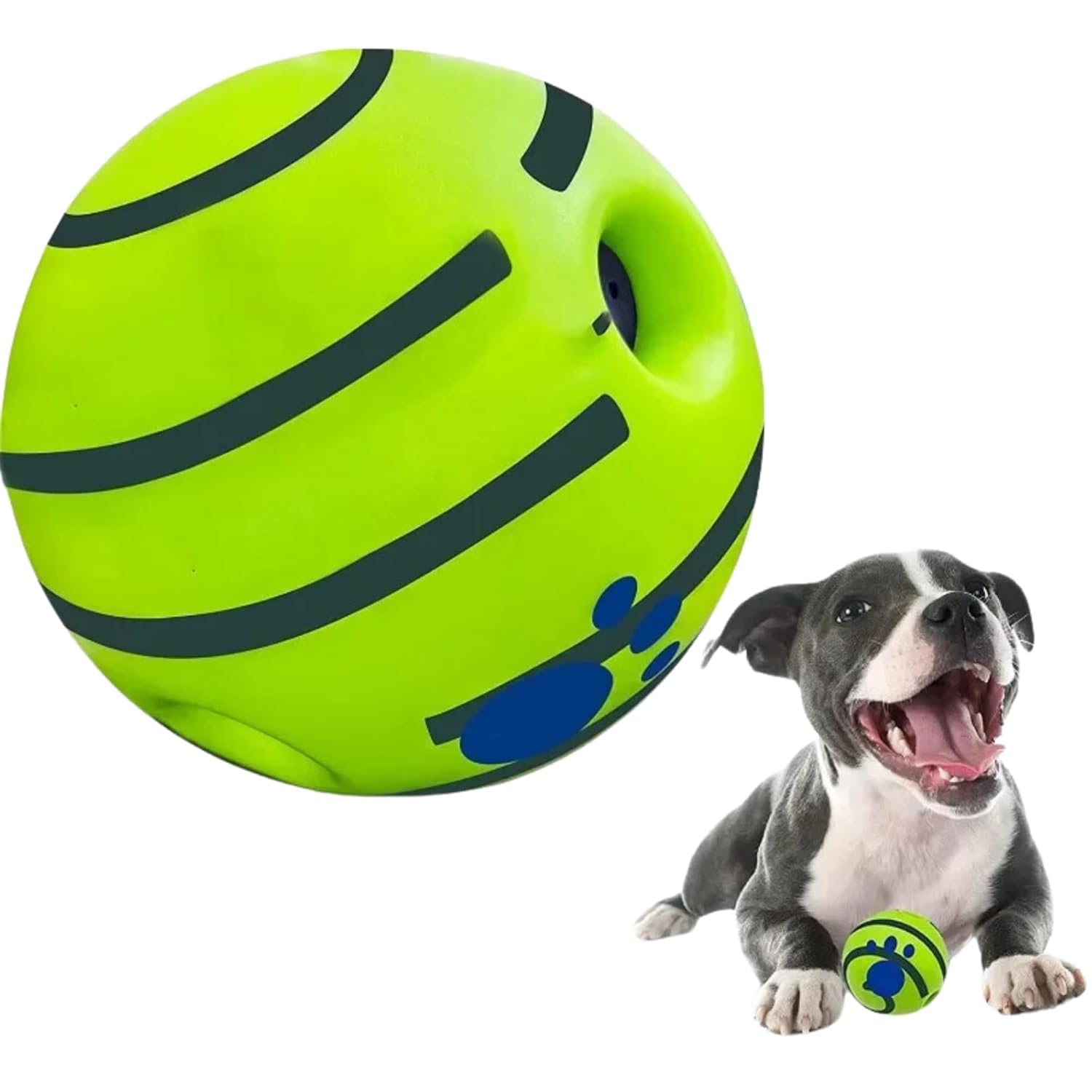 Paw N Pet?Interactive Sound Ball Toy for Dogs and Puppies| Fun Giggle Squeaky Sounds | PetSafe Materials| Suitable for All Dog 