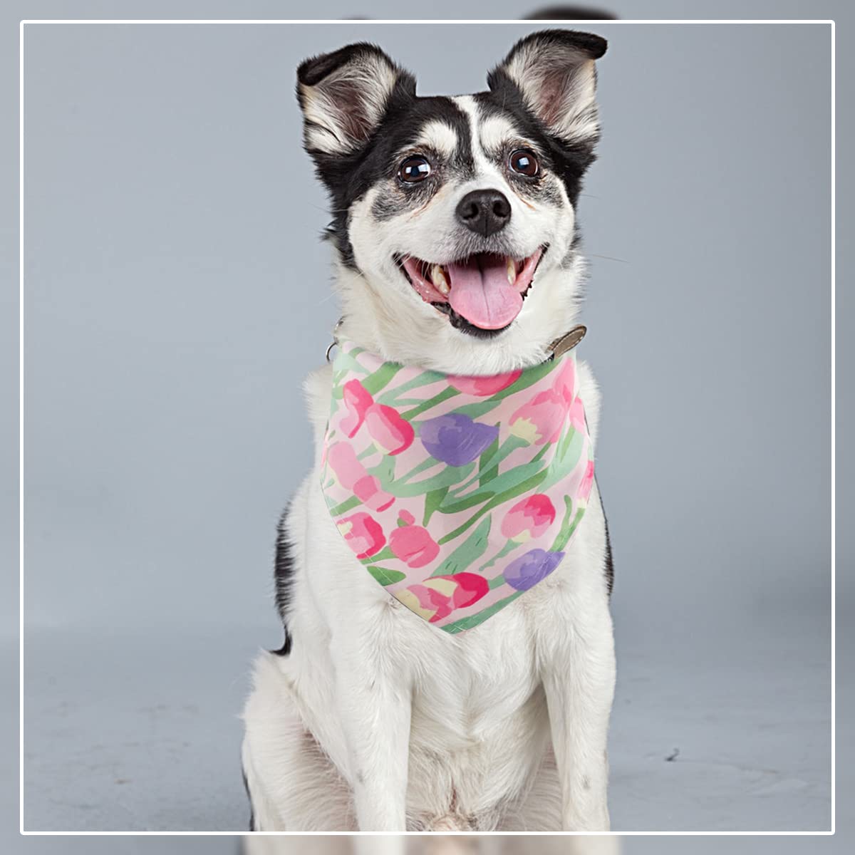 JpGdn 50PCS Large Dog Bandanas Large Breed XL Bulk for Extra Large Dog Big Bandanas Pack Kerchief Washable Triangle Bibs Head Sc