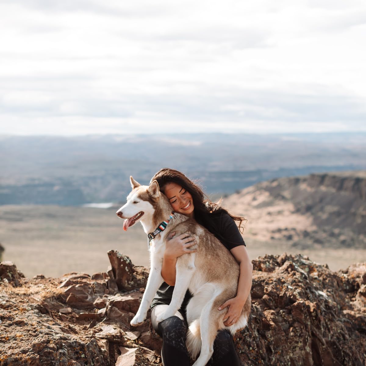 Wolfgang Heavy Duty Adjustable Dog Harness, Pull-Tested To Over 800 Lbs For Walking & Training, Lostart Print, Small