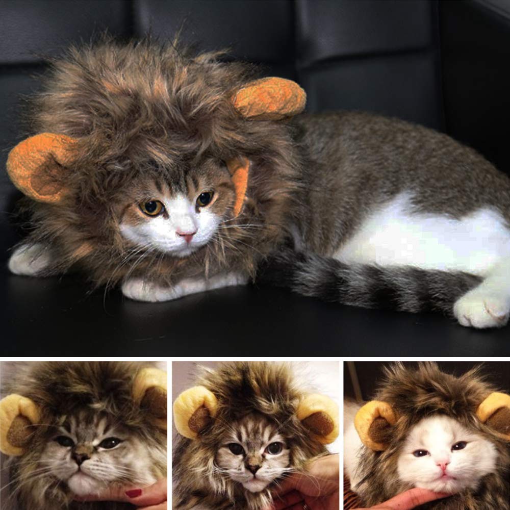 SNIK-S Cat Wigs Lion Mane Wig with Ears- Fancy Costume Hair Lion Hat for Halloween and Cosplay Party (S)