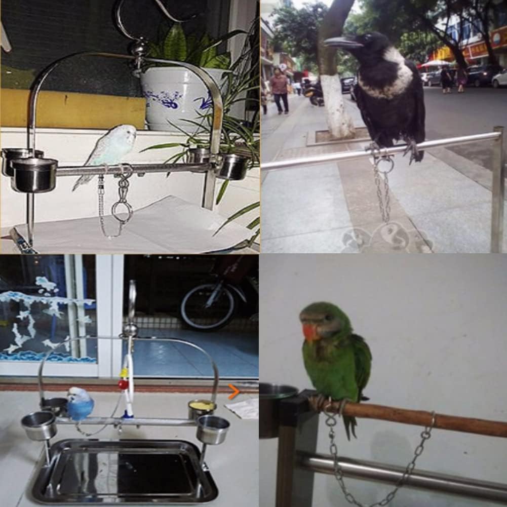 Parrot Foot Ring, Bird Anklet Chain Stainless Steel Bird Leash Parrot Opening Activity Ring Bird Stand Anklet Pet Bird Supplies
