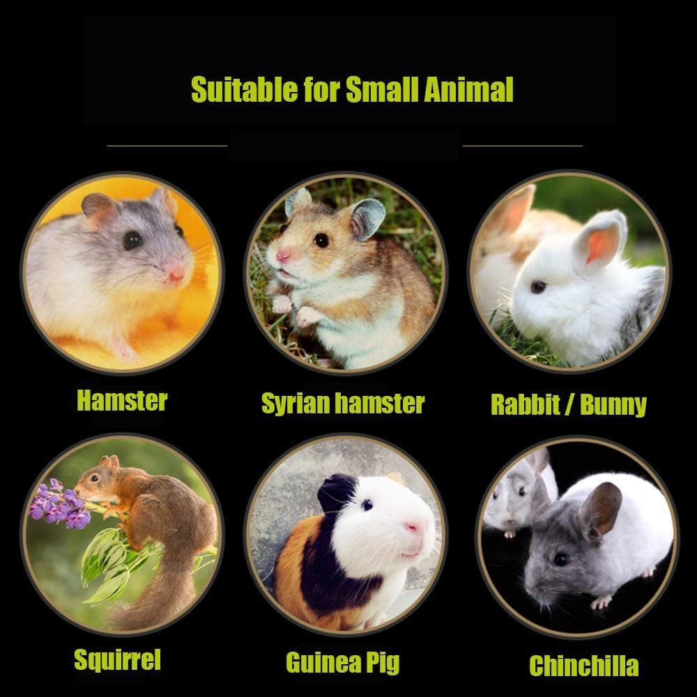 Hamiledyi Hamster Chew Toy Lava Teeth Grinding Square Stone For Hamsters Chinchillas And Rabbits Mineral Stone Calcium Chew Toy For Small Animal(Pack Of 10)