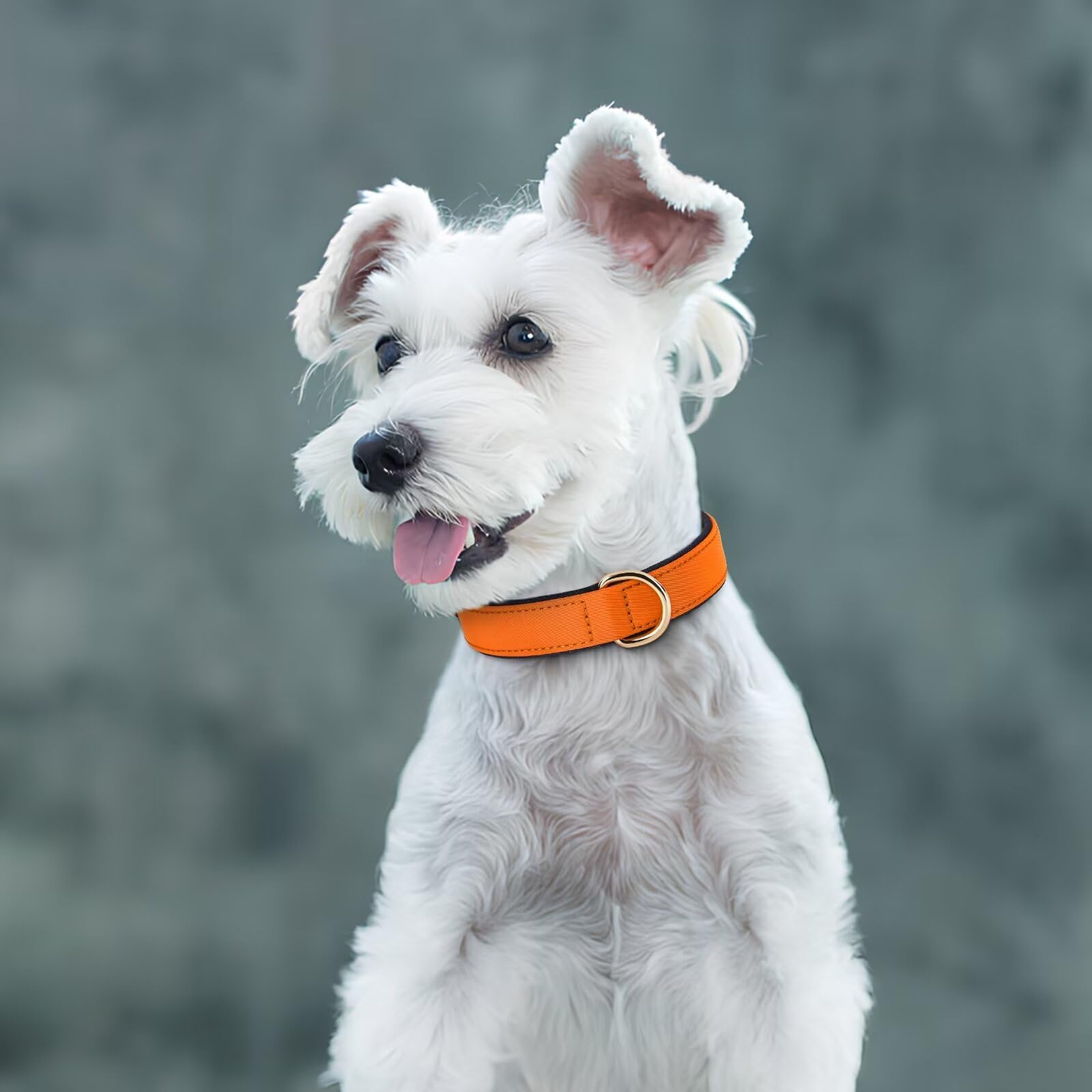 Didog Soft Padded Dog Collars For Medium Dogs, Lightweight And Breathable Dog Collar Waterproof With Metal Buckle, Orange, L