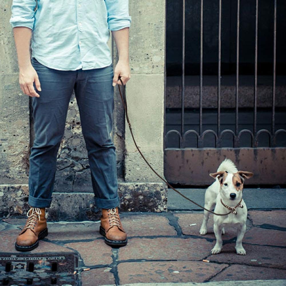 Wellbro Real Leather Slip Dog Leash, Adjustable 160cm, Soft & Slim for Puppies, Brown, Model 11289488