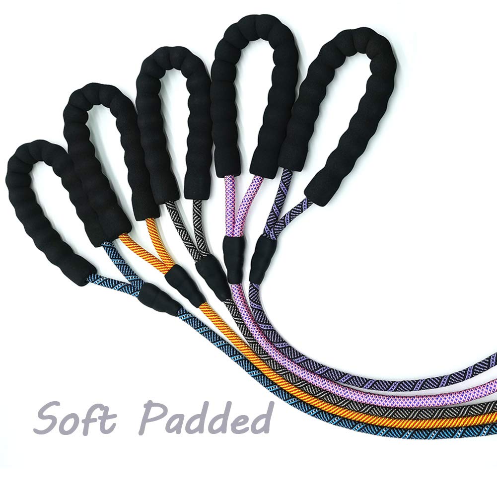 Maypaw Heavy Duty Rope Dog Leash, 1/4'' X 6Ft Nylon Pet Training Leash, Soft Padded Handle Lightweight Dog Walking Leash For Sma