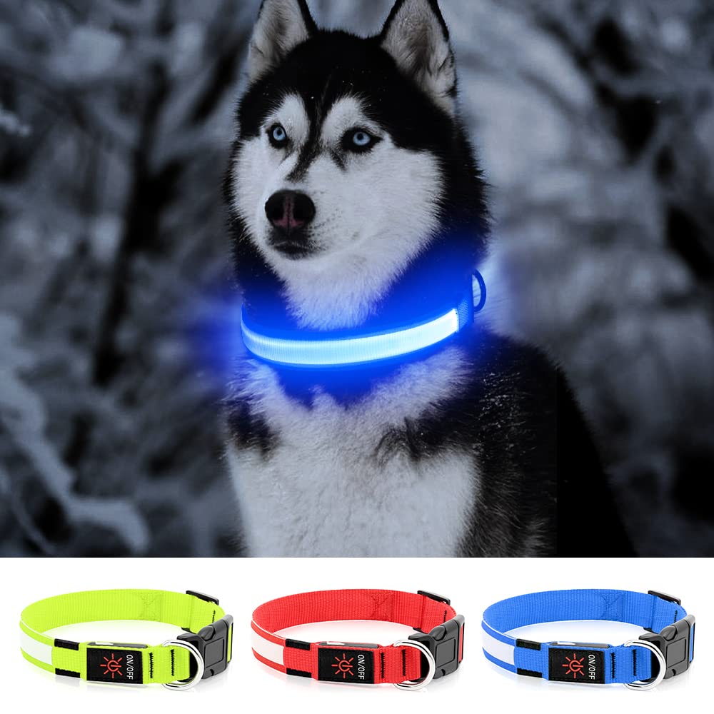 Yfbrite Ultra Light Usb Rechargeable Led Dog Collar - Adjustable Light Up Dog Collar - Waterproof Dog Collar - Flashing Dog Collar Visiblity & Safety For Your Dogs (Blue, Large)