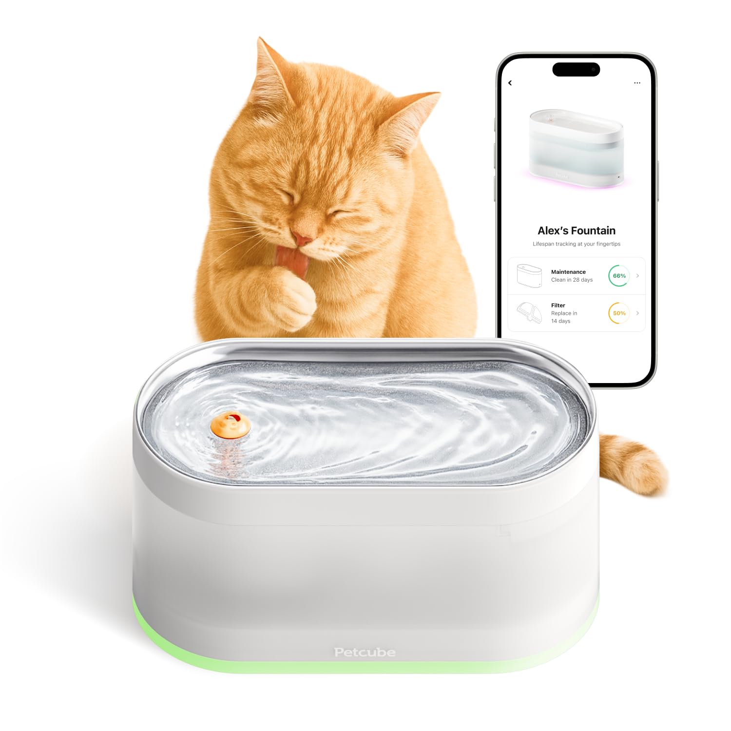 Petcube Pet Water Fountain | Automatic Wireless Fountain for Cats and Dogs with Stainless Steel Bowl, Easy to Clean, 4-Layer Fil