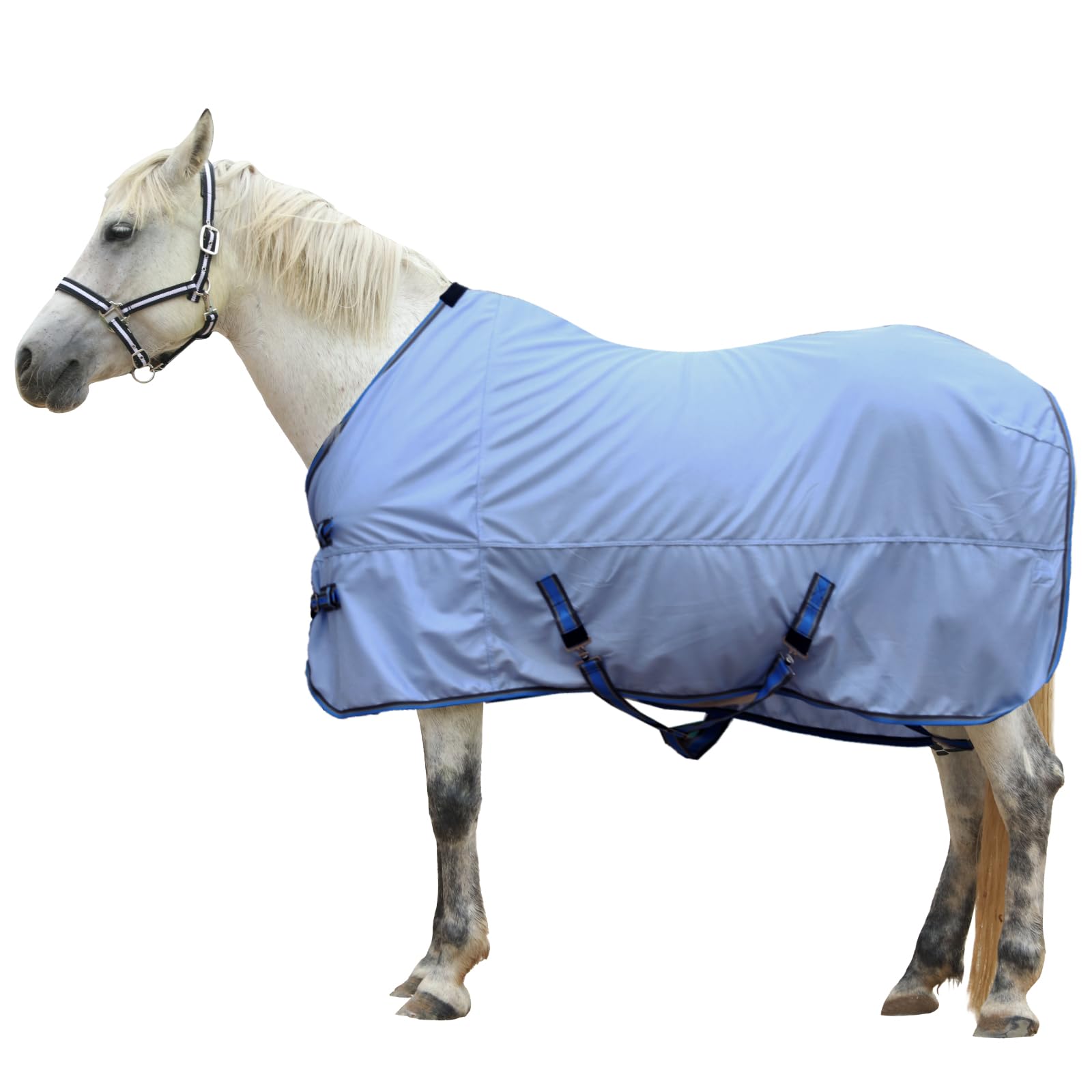 Gallopoff Horse Fly Sheet, Standard Neck Comfy Mesh Fly Sheet For Horses, Equine Summer Sheets Uv-Protective Lightblue 75
