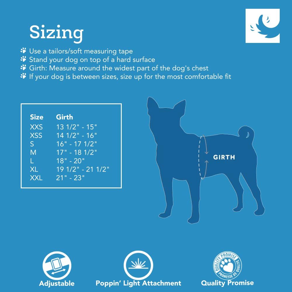 RC Pet Products Step in Cirque Soft Walking Dog Harness, X-Small, Black