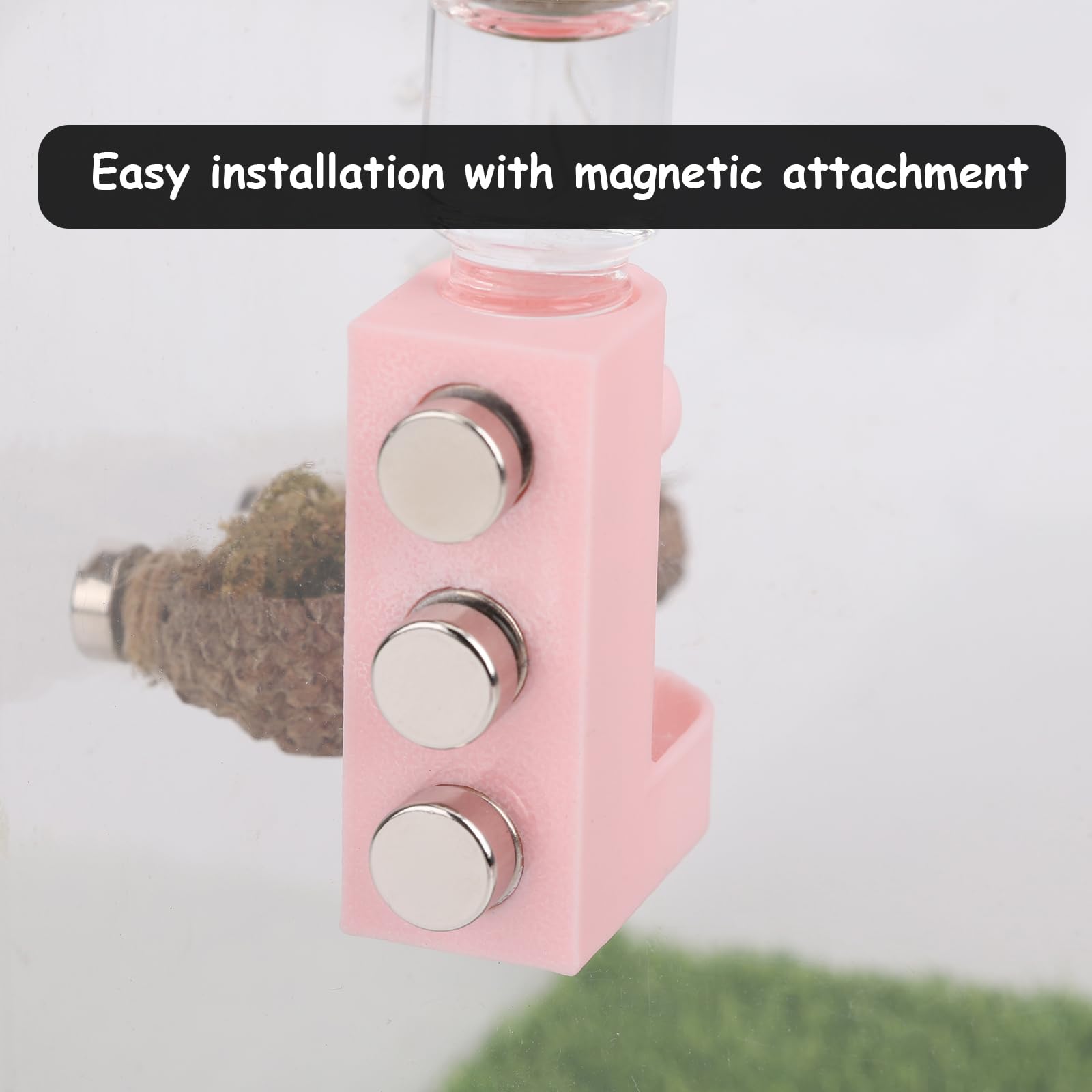 Daerky Small Animal Water Feeder, Magnetic Hanging Feeder & Hidden Cave - Accessories For Jumping Spiders, Wolf Spiders, Mantise