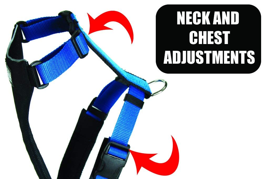 Neewa Running Harness For Small Dogs (X-Small, Black) - Ideal For Walking Easy To Put On And Off - Fits Great French Bulldog - R