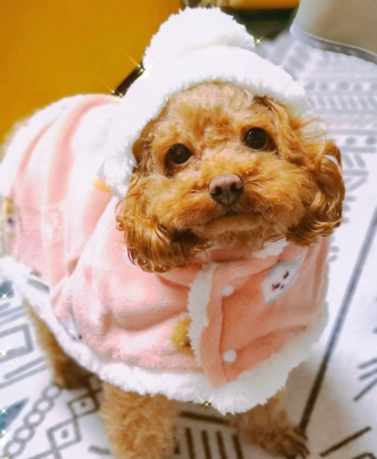 Fulvara Dog Clothes Fleece Winter Coat Warm Soft Dog Vest For Cold Weather,Flannel Blanket Throw Multi-Use Pet Apparel For Small Medium Dogs & Cats (L Pink)