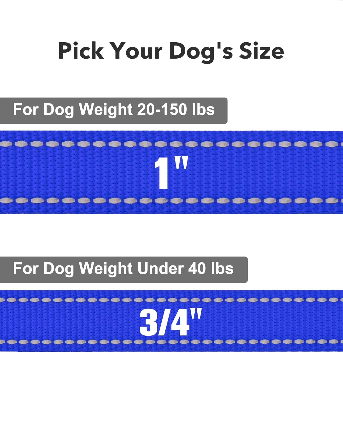 Taglory Dog Leash For Medium Large Dogs, Double-Sided Reflective Leash With Soft Neoprene Padded Handle, 1 Inch By 5 Ft, Fit Med