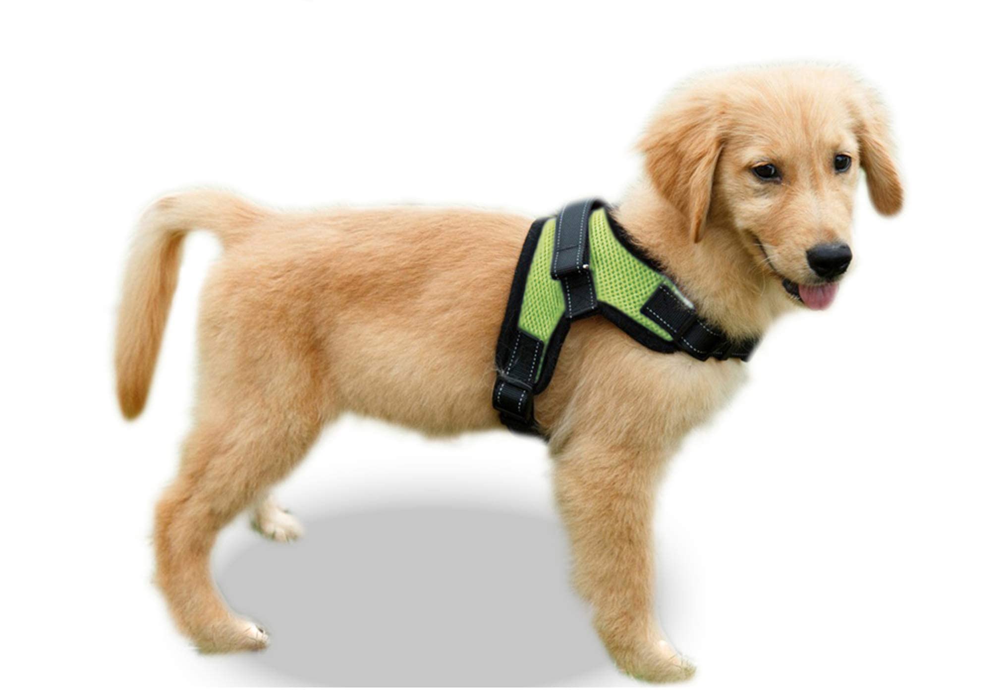 Copatchy No Pull Reflective Adjustable Dog Harness With Handle (X-Small, Green)