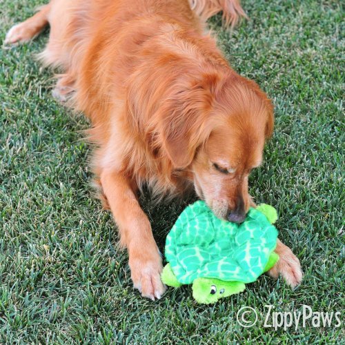 Zippypaws Squeakie Crawler- No Stuffing Dog Toy To Keep Them Busy, For Small, Medium, & Large Dogs, Squeaky Pet Toy For Boredom, Unstuffed Chew Toy, Soft Plush Puppy Products, Slowpoke The Turtle- 10'