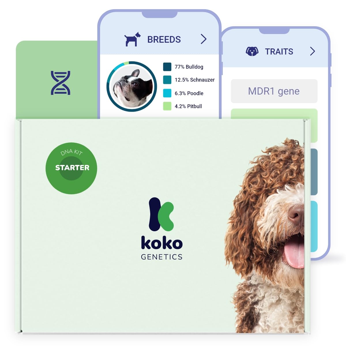 Koko Genetics Starter Dna Test For Dogs, Analyzes & Identifies 400+ Breeds And Offers 25+ Genetic Traits And Ancestry Reports, Lifetime Updates Included