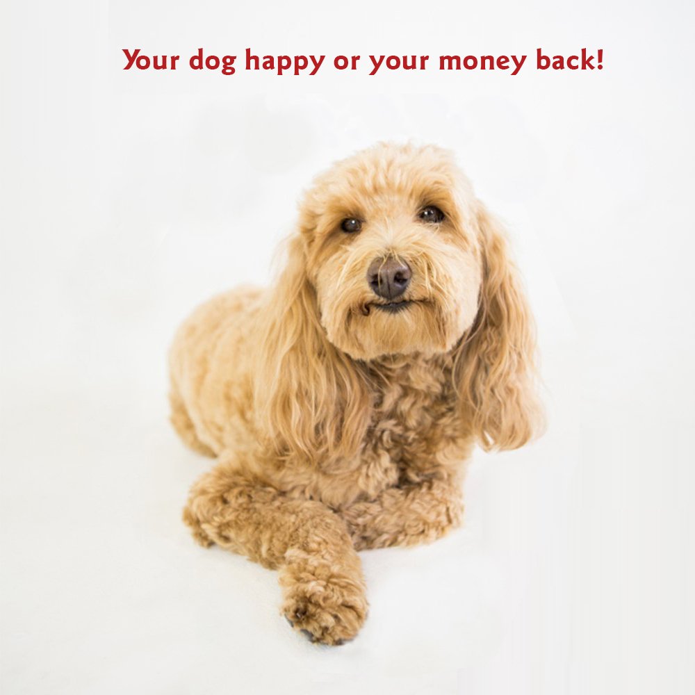 28X35 Black Super Value Pet Dog Bed By Majestic Pet Products Medium