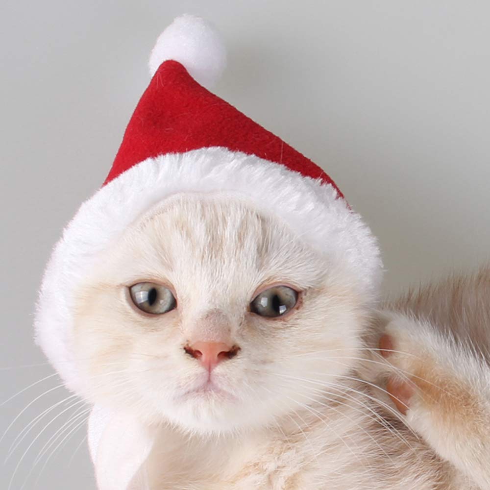 Christmas Santa Hats Plush Pet Dog Cat Red Hat Merry Christmas Caps Deluxe Headpiece Adjustable 3D Cosplay Costume Accessories C