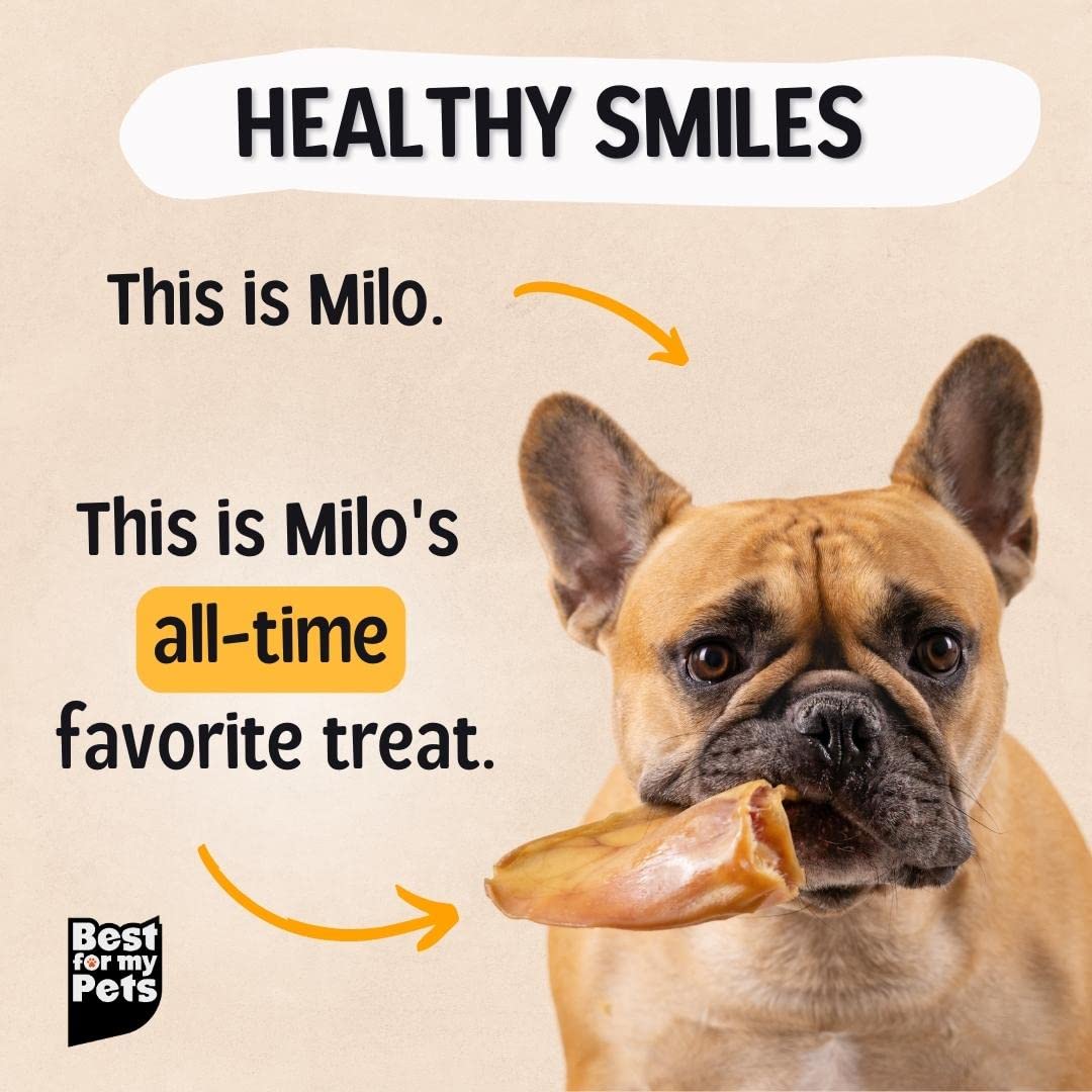 Best For My Pets Pig Ears for Dogs (Whole, 30 Pack), Healthy, Highly Digestible All Natural Pigs Ears Long-Lasting Dog Chews, Po