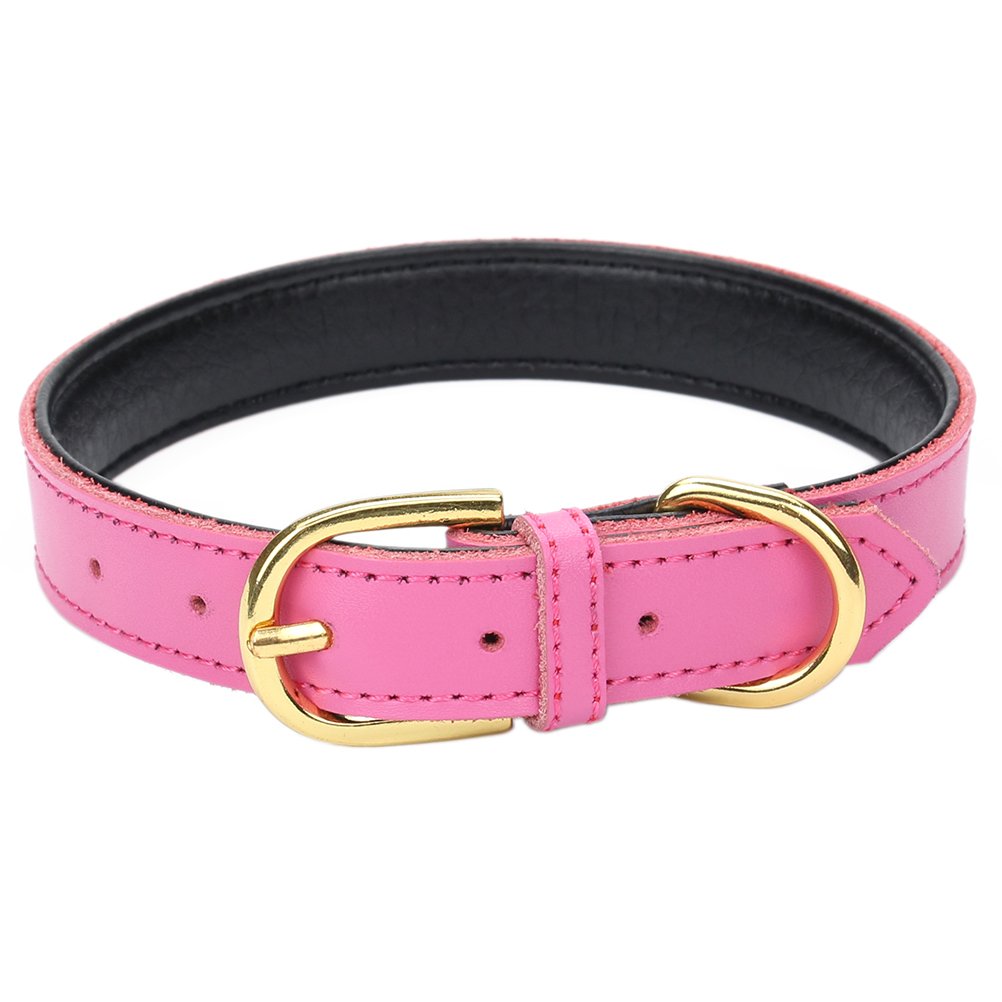 Aolove Basic Classic Padded Leather Pet Collars For Cats Puppy Small Medium Dogs (X-Small (Neck 8.0'-10'), Rose Red)
