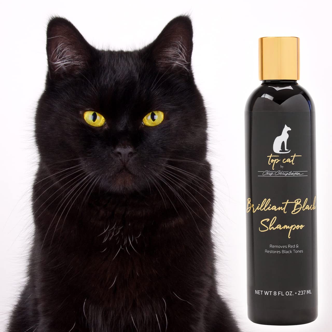 Chris Christensen Top Cat Brilliant Black Shampoo for Cats, Groom Like a Professional, Removes Red, Restores Black Tones, Made i
