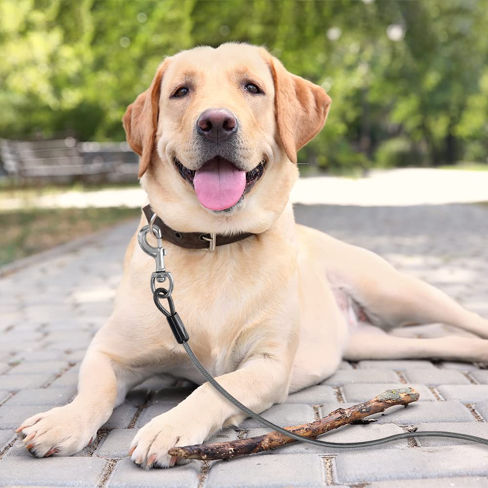 Bv Dog Tie Out Cable 25 Feet - Heavy Duty Dog Lead Up To 250 Pounds - Reflective & Rust-Free With Quick Release Swivel Clips & 3