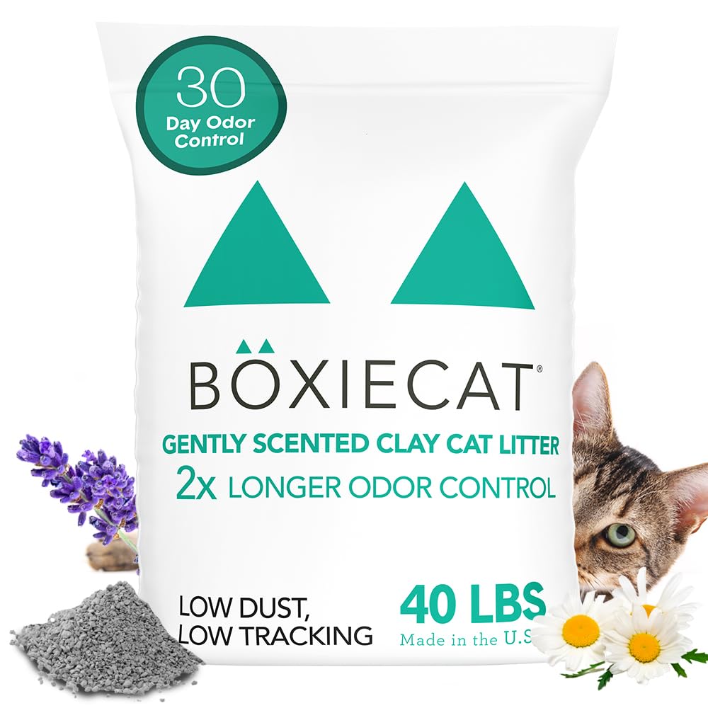 Boxie Gently Scented 30 Day Natural Odor Control Cat Litter, 40Lb Clumping Clay Kitty Litter