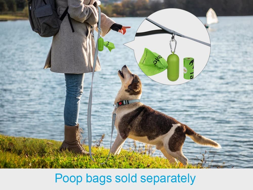 Taglory Double-Sided Reflective Heavy Duty Dog Leash 4Ft 5Ft 6Ft,Neoprene Padded Handle And Metal Hook Pet Training Leashes For Small Medium Large Dogs, Grey