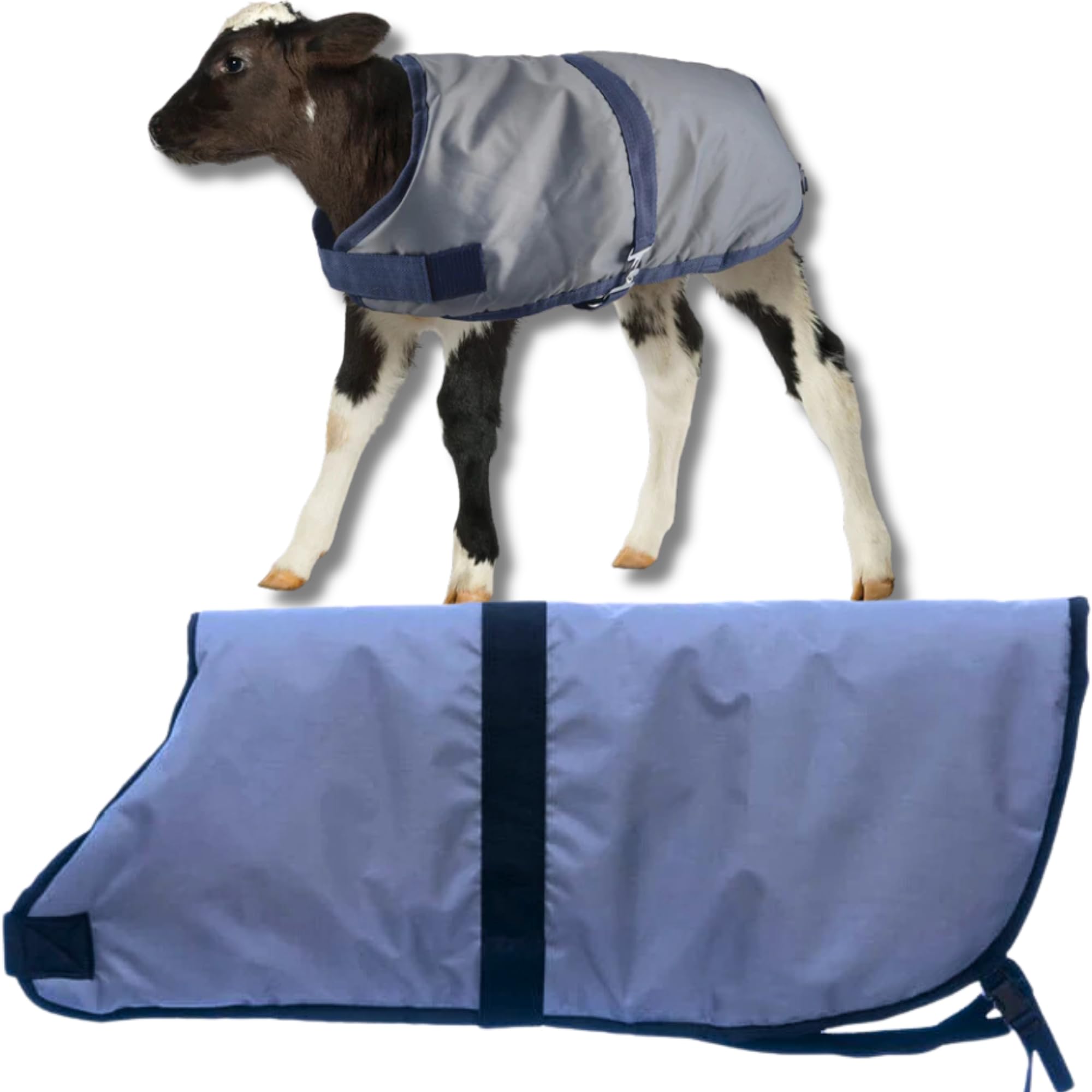 Jeffers Livestock Insulated Calf Blanket, Grey Navy, 1 Pack - 600Denier, 350G Polyfill, Winter Warm Clothes For Calf, Water Proo