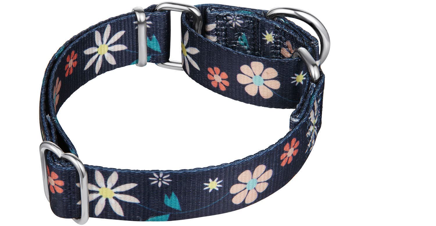 Martingale Collar Floral Print Dog Collar - Dazzber No Pull Pet Collar, Heavy Duty Adjustable Dog Collar, Large, Neck 17 Inch -25 Inch, Elegant Flowers (Dark Blue)