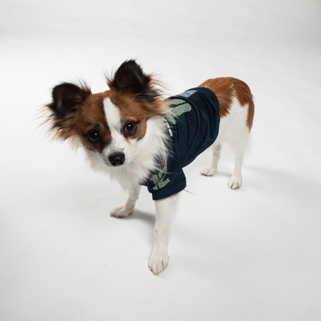 Pets First Sea-4000-Xxl Seattle Seahawks Mesh Jersey, Xx-Large Size, Multicolor, One Size