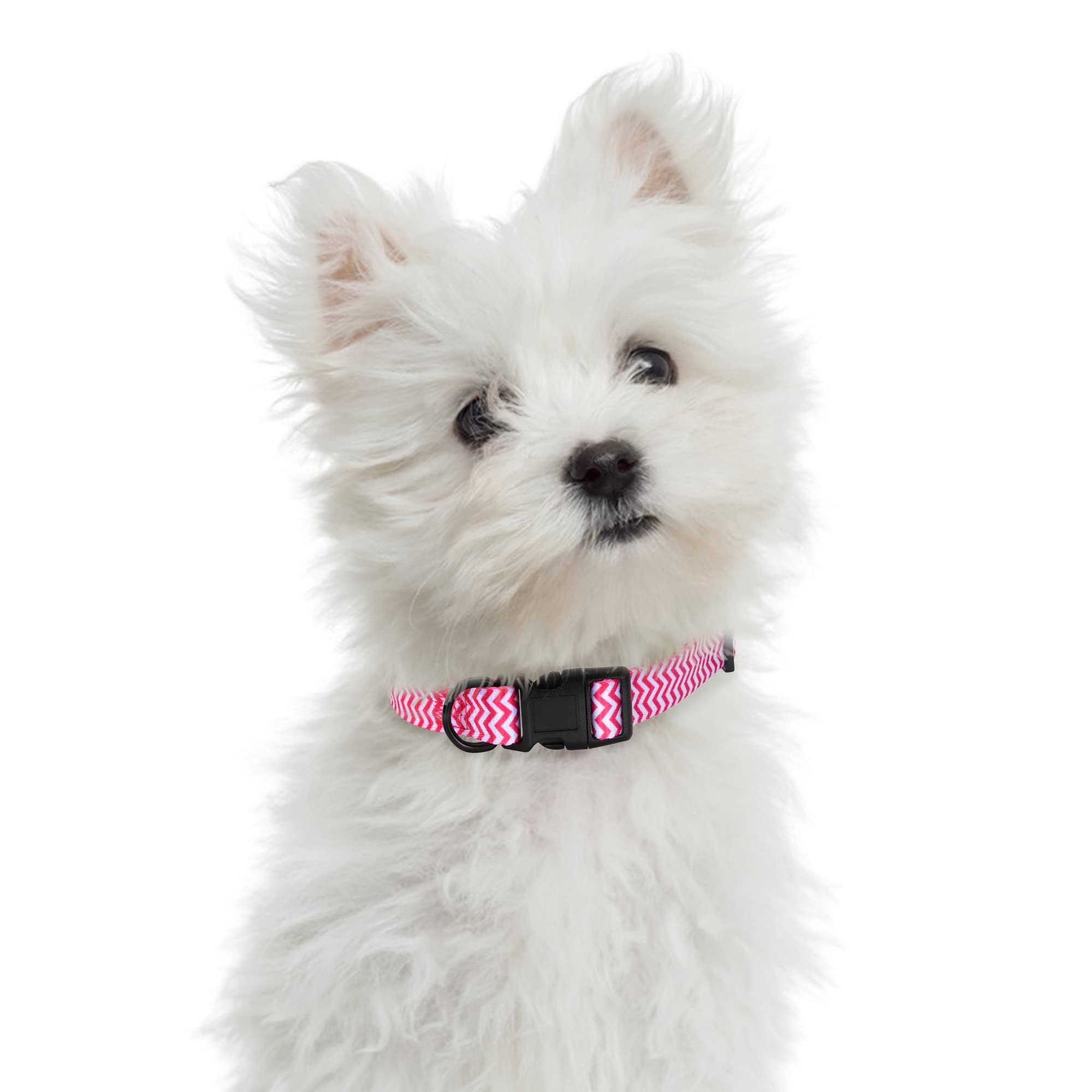 Mile High Life Dog Collar | Cute Puppy Collars | Lightweight Girl Dog Collar | Soft Boy Dog Collars | W Geometric Ocean Wavy Pat